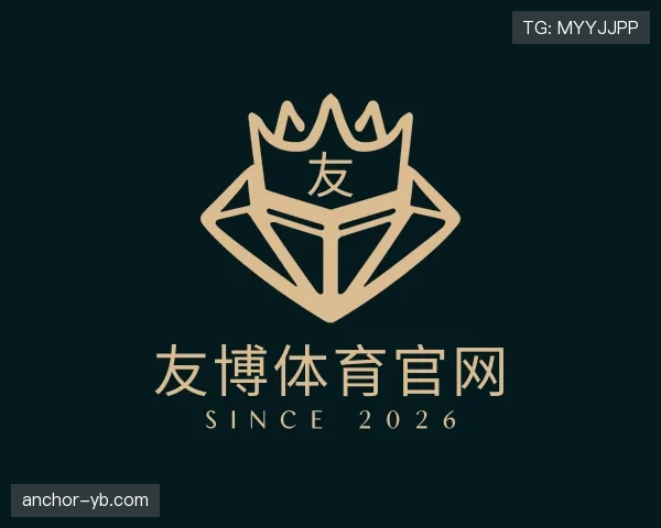 解读友博体育